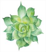 Botanical Gardening Theme