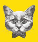 Cat Glasses Bow Tie