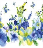 Spring Blooms