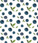 Blueberry Drawing Leaves Art artwork