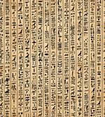 Ancinet Hieroglyphs