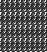 Bird Pattern