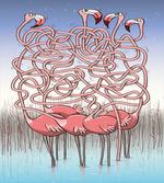 Flamingos Maze Game Joy
