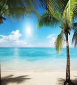 Coconut Shadows