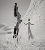 Horse and Lady