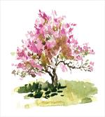 Watercolor Sakura Leaves