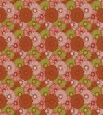 Gerbera Petals Blossoming