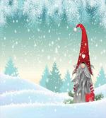 Elf Tomte Standing on Snow