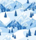 Snowy Fir Forest