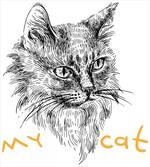 Hand Drawn Cat