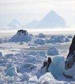 Arctic Winter Ice Lake