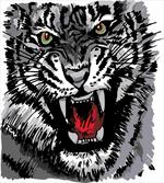 Tiger Roars