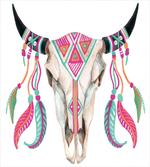 Bull Skull and Feathers