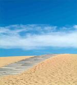 Path over Golden Sand