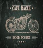 Born to Die Words