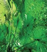 Exotic Jungle Plants