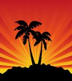 Sunrays Palm Trees Shade artwork