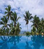 Infinity Pool Palm
