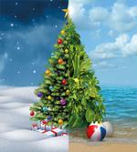 Tropic and Winter Noel