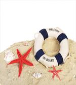 Shells Starfishes Sea