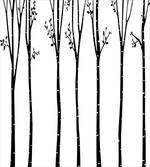 Autumn Tree Foliage