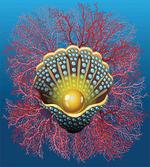 Coral Nautical Artwork