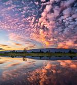 Reflections on Water View