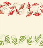 Border with Mountain Ash