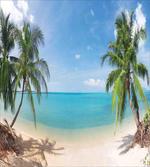 Panoramic View Beach
