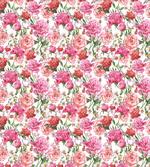Pink Peonies Roses