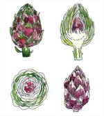 Vegetables Diet Food