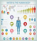 Water and Human Body Info