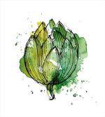 Abstract Cardunculus