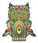 Owl Eye