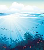 Fish Aquarium Coral Reefs
