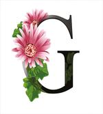 Gerbera Blossom G Font