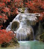 Fall Trees with Rock