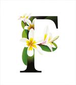Frangipani Green Theme