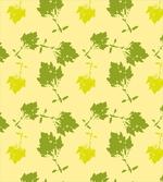 Ornamental Sycamore Leaves