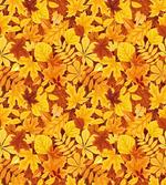Shady Fall Oak Maple Leaf