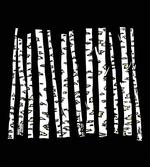 Woodland Illustrations
