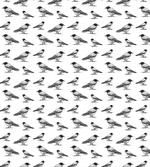 Sketchy Monochrome Bird