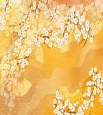 Blossoms