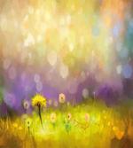 Yellow Dandelion Field