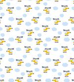 Aircraft in Clouds
