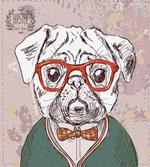 Vintage Hipster Pugs