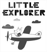 Hand Drawn Bunny Plane
