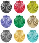 Seashells Composition