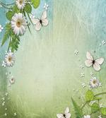 Flowers and Butterflies