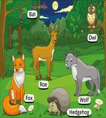 Cartoon Animals